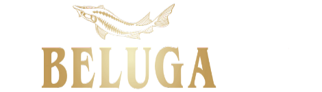 BELUGA